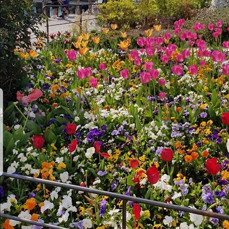 Appartamento Rosy Peschiera del Garda Extérieur photo