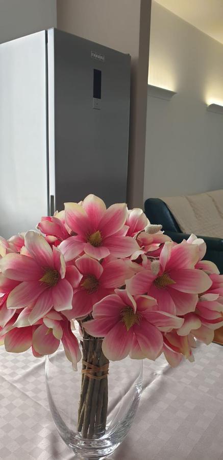 Appartamento Rosy Peschiera del Garda Extérieur photo