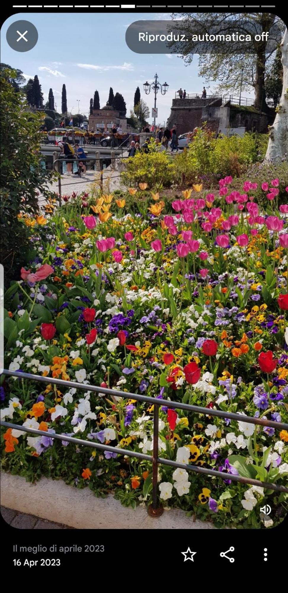 Appartamento Rosy Peschiera del Garda Extérieur photo